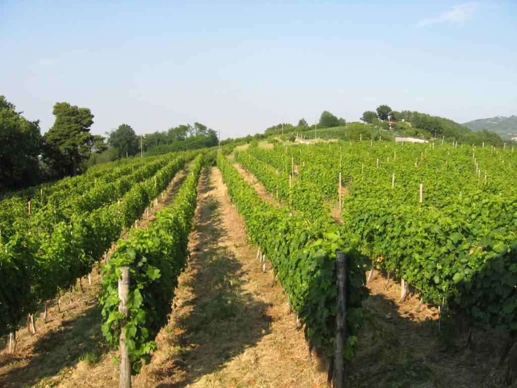 Agriturismo Cascina Serra Коссано-Бельбо Номер фото