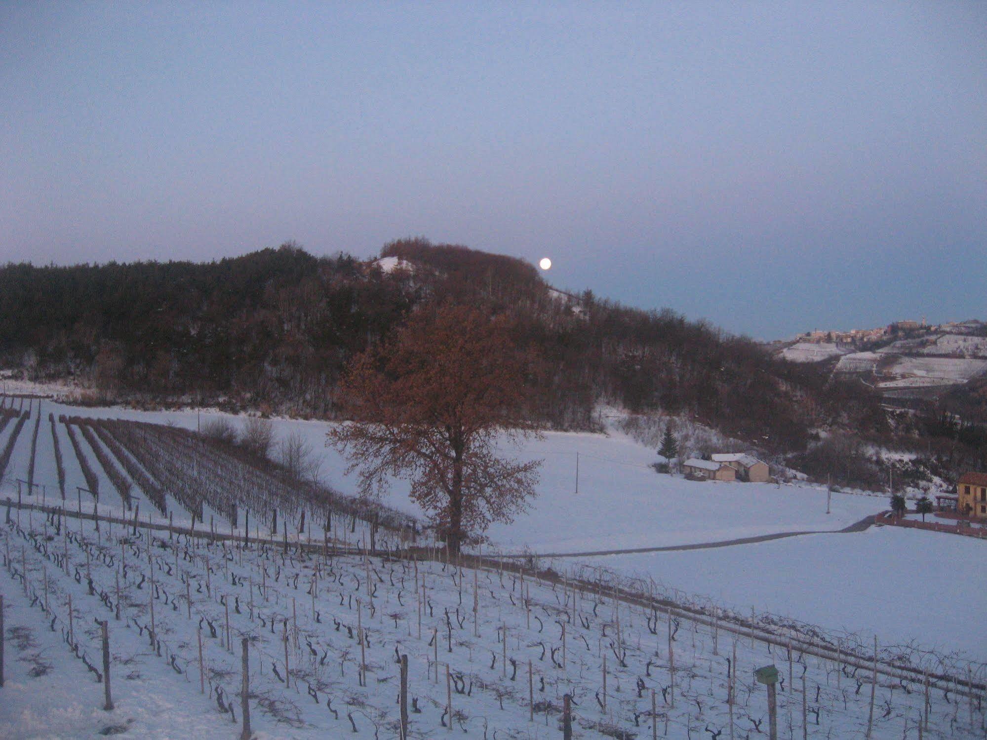 Agriturismo Cascina Serra Коссано-Бельбо Экстерьер фото